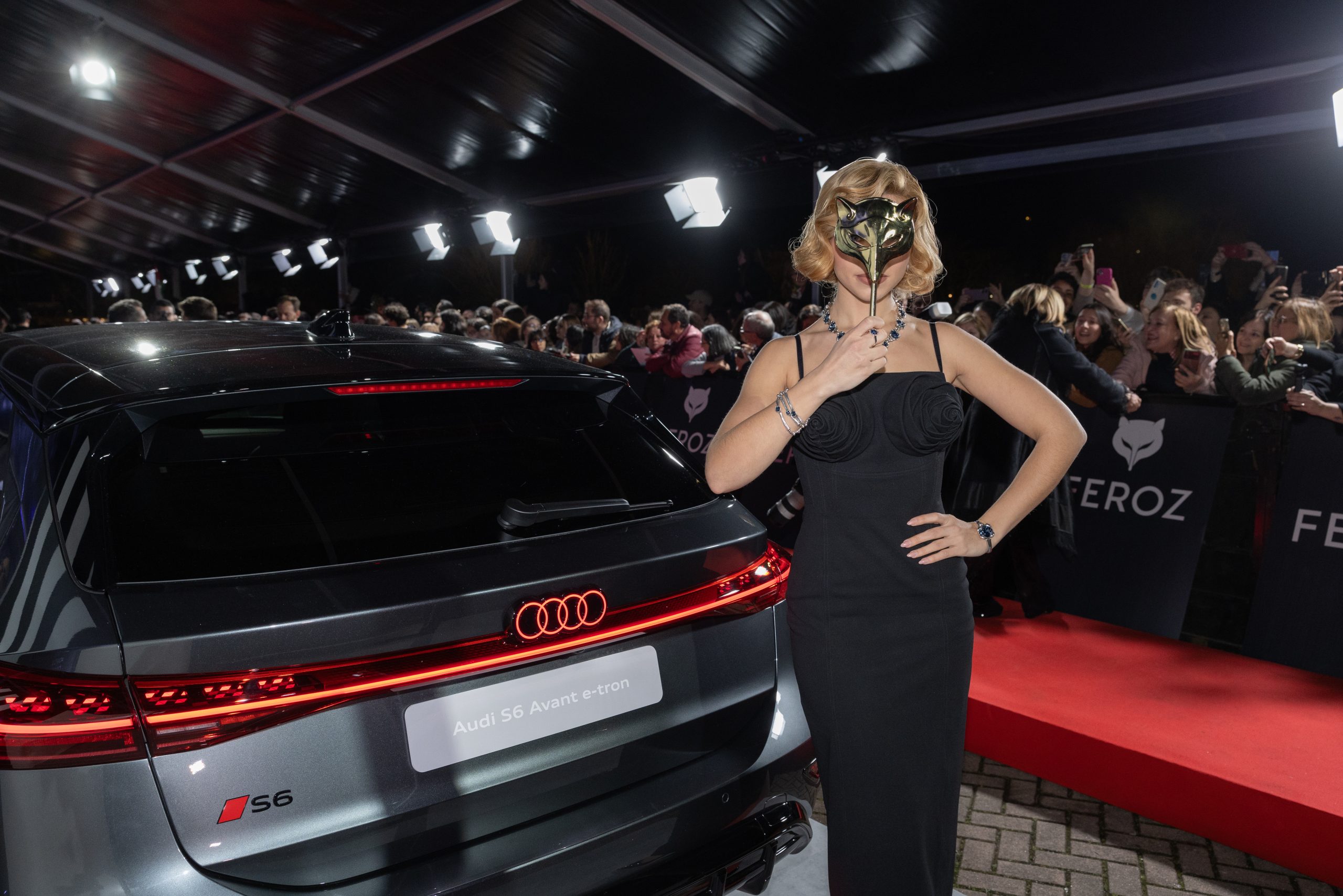 AUDI_FEROZ_120